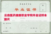 云南医药健康职业学院毕业证样本图片