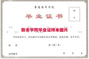 新余学院毕业证样本图片