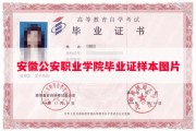 安徽公安职业学院毕业证样本图片