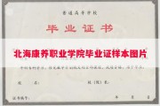 北海康养职业学院毕业证样本图片