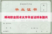 柳州职业技术大学毕业证样本图片
