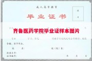 齐鲁医药学院毕业证样本图片