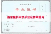 南京医科大学毕业证样本图片
