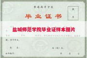 盐城师范学院毕业证样本图片