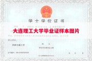 大连理工大学毕业证样本图片