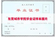 东莞城市学院毕业证样本图片