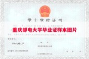 重庆邮电大学毕业证样本图片