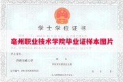亳州职业技术学院毕业证样本图片