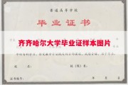 齐齐哈尔大学毕业证样本图片