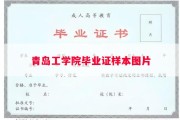 青岛工学院毕业证样本图片