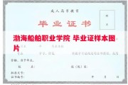 渤海船舶职业学院 毕业证样本图片