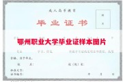 鄂州职业大学毕业证样本图片