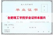 合肥理工学院毕业证样本图片