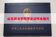 山东政法学院毕业证样本图片