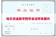 哈尔滨金融学院毕业证样本图片
