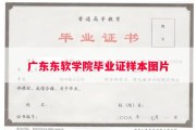 广东东软学院毕业证样本图片