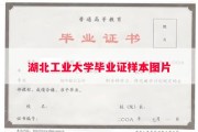 湖北工业大学毕业证样本图片