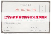 辽宁商贸职业学院毕业证样本图片