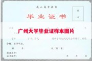 广州大学毕业证样本图片