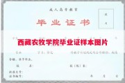 西藏农牧学院毕业证样本图片