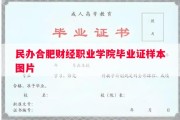 民办合肥财经职业学院毕业证样本图片