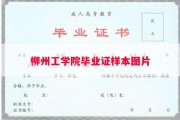 柳州工学院毕业证样本图片