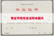 枣庄学院毕业证样本图片
