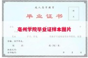 亳州学院毕业证样本图片