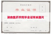 湖南医药学院毕业证样本图片