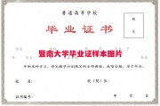 暨南大学毕业证样本图片