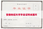 安徽财经大学毕业证样本图片