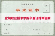 宣城职业技术学院毕业证样本图片