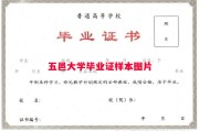 五邑大学毕业证样本图片