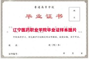 辽宁医药职业学院毕业证样本图片