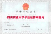 四川农业大学毕业证样本图片