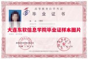 大连东软信息学院毕业证样本图片