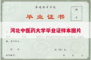 河北中医药大学毕业证样本图片