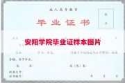 安阳学院毕业证样本图片