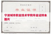 宁波城市职业技术学院毕业证样本图片