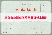 北京农业职业学院毕业证样本图片