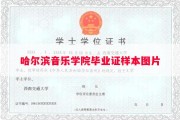 哈尔滨音乐学院毕业证样本图片