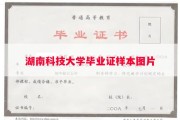 湖南科技大学毕业证样本图片