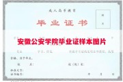 安徽公安学院毕业证样本图片