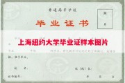 上海纽约大学毕业证样本图片
