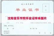 沈阳音乐学院毕业证样本图片
