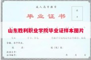 山东胜利职业学院毕业证样本图片