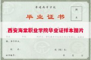 西安海棠职业学院毕业证样本图片