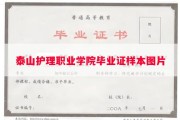 泰山护理职业学院毕业证样本图片