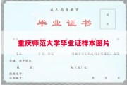 重庆师范大学毕业证样本图片
