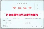 河北金融学院毕业证样本图片